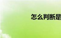 怎么判断是不是竹节棉