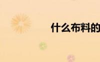 什么布料的行李包耐用