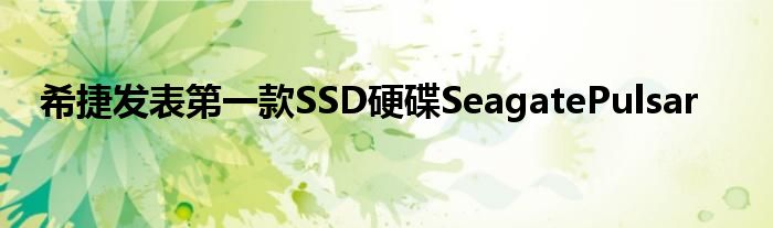 希捷发表第一款SSD硬碟SeagatePulsar