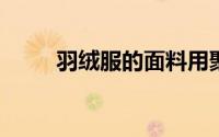 羽绒服的面料用聚酯纤维做的好么