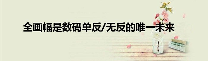 全画幅是数码单反/无反的唯一未来