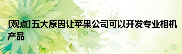 [观点]五大原因让苹果公司可以开发专业相机产品