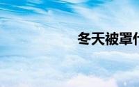 冬天被罩什么面料好