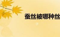 蚕丝被哪种丝好有人知道吗