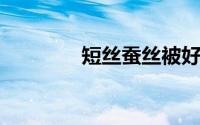 短丝蚕丝被好还是长丝的好