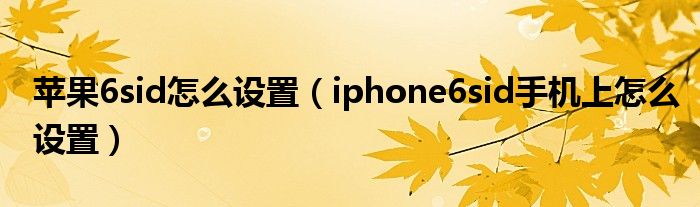 苹果6sid怎么设置（iphone6sid手机上怎么设置）
