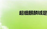 超细麒麟绒是什么样的图片