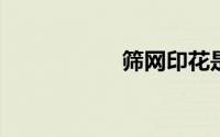 筛网印花是什么材料