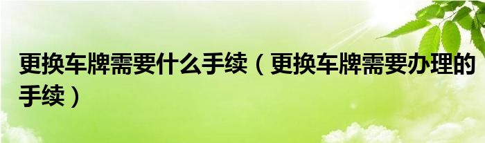 更换车牌需要什么手续（更换车牌需要办理的手续）