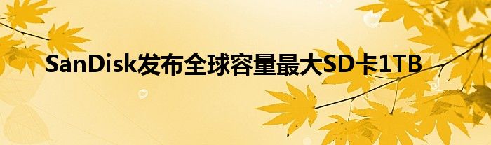 SanDisk发布全球容量最大SD卡1TB