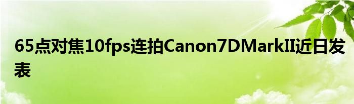 65点对焦10fps连拍Canon7DMarkII近日发表