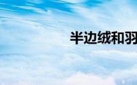 半边绒和羽毛纱的区别
