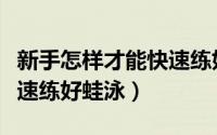 新手怎样才能快速练好蛙泳（新手如何才能快速练好蛙泳）