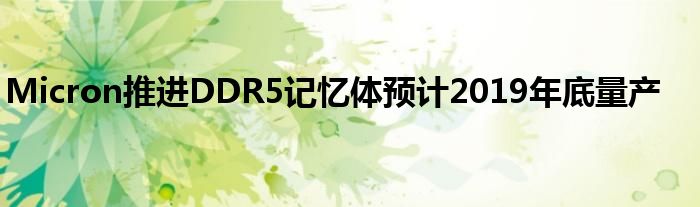 Micron推进DDR5记忆体预计2019年底量产
