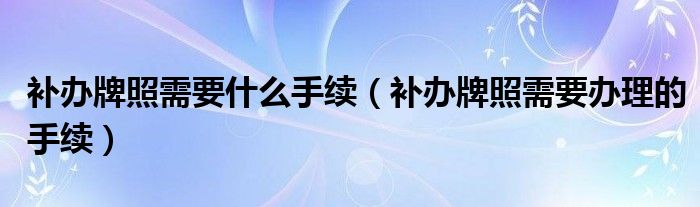 补办牌照需要什么手续（补办牌照需要办理的手续）