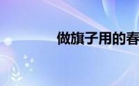 做旗子用的春亚纺是什么布