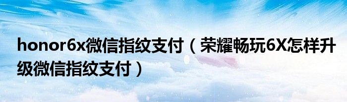 honor6x微信指纹支付（荣耀畅玩6X怎样升级微信指纹支付）