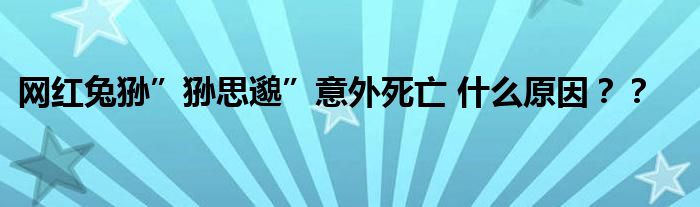 网红兔狲”狲思邈”意外死亡 什么原因？？