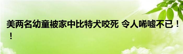 美两名幼童被家中比特犬咬死 令人唏嘘不已！！