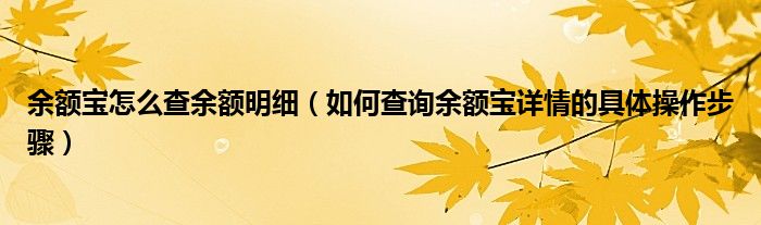 余额宝怎么查余额明细（如何查询余额宝详情的具体操作步骤）