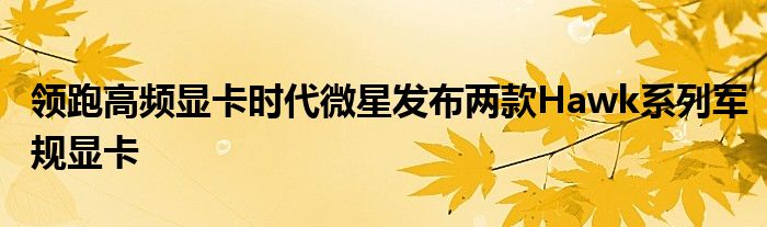 领跑高频显卡时代微星发布两款Hawk系列军规显卡