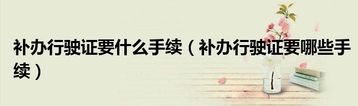 补办行驶证要什么手续（补办行驶证要哪些手续）