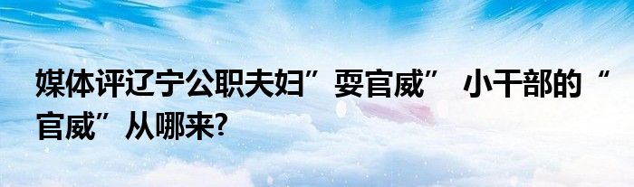 媒体评辽宁公职夫妇”耍官威” 小干部的“官威”从哪来?