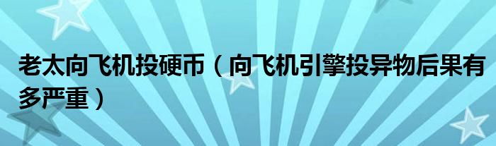 老太向飞机投硬币（向飞机引擎投异物后果有多严重）