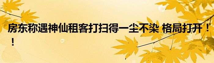 房东称遇神仙租客打扫得一尘不染 格局打开！！