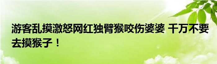 游客乱摸激怒网红独臂猴咬伤婆婆 千万不要去摸猴子！