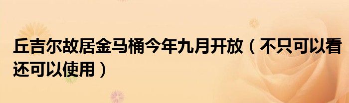 丘吉尔故居金马桶今年九月开放（不只可以看还可以使用）