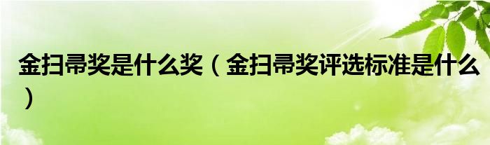 金扫帚奖是什么奖（金扫帚奖评选标准是什么）
