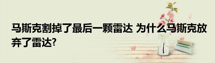 马斯克割掉了最后一颗雷达 为什么马斯克放弃了雷达?
