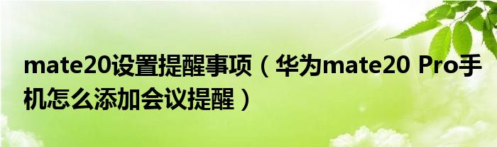mate20设置提醒事项（华为mate20 Pro手机怎么添加会议提醒）
