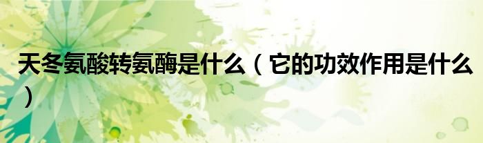 天冬氨酸转氨酶是什么（它的功效作用是什么）