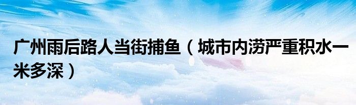 广州雨后路人当街捕鱼（城市内涝严重积水一米多深）