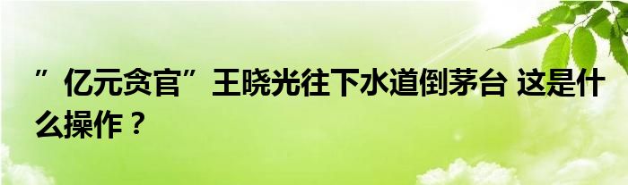 ”亿元贪官”王晓光往下水道倒茅台 这是什么操作？