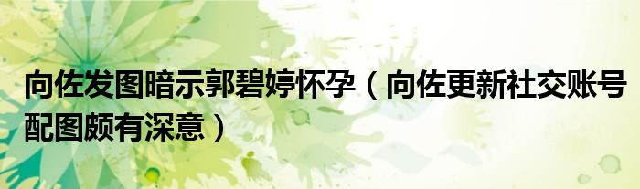 向佐发图暗示郭碧婷怀孕（向佐更新社交账号配图颇有深意）
