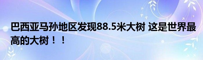 巴西亚马孙地区发现88.5米大树 这是世界最高的大树！！