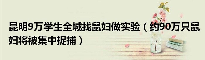 昆明9万学生全城找鼠妇做实验（约90万只鼠妇将被集中捉捕）