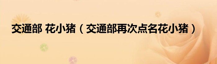 交通部 花小猪（交通部再次点名花小猪）