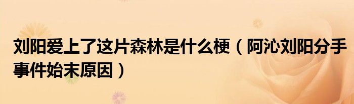 刘阳爱上了这片森林是什么梗（阿沁刘阳分手事件始末原因）