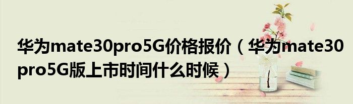 华为mate30pro5G价格报价（华为mate30pro5G版上市时间什么时候）