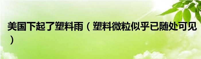 美国下起了塑料雨（塑料微粒似乎已随处可见）