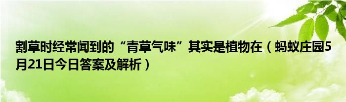 割草时经常闻到的“青草气味”其实是植物在（蚂蚁庄园5月21日今日答案及解析）