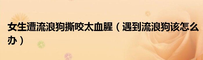 女生遭流浪狗撕咬太血腥（遇到流浪狗该怎么办）