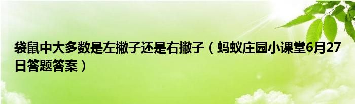 袋鼠中大多数是左撇子还是右撇子（蚂蚁庄园小课堂6月27日答题答案）