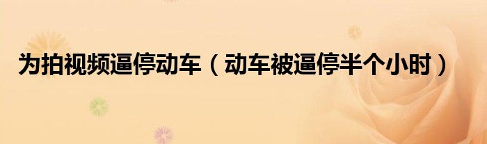为拍视频逼停动车（动车被逼停半个小时）