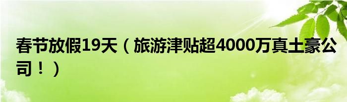 春节放假19天（旅游津贴超4000万真土豪公司！）