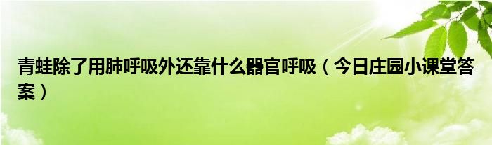 青蛙除了用肺呼吸外还靠什么器官呼吸（今日庄园小课堂答案）